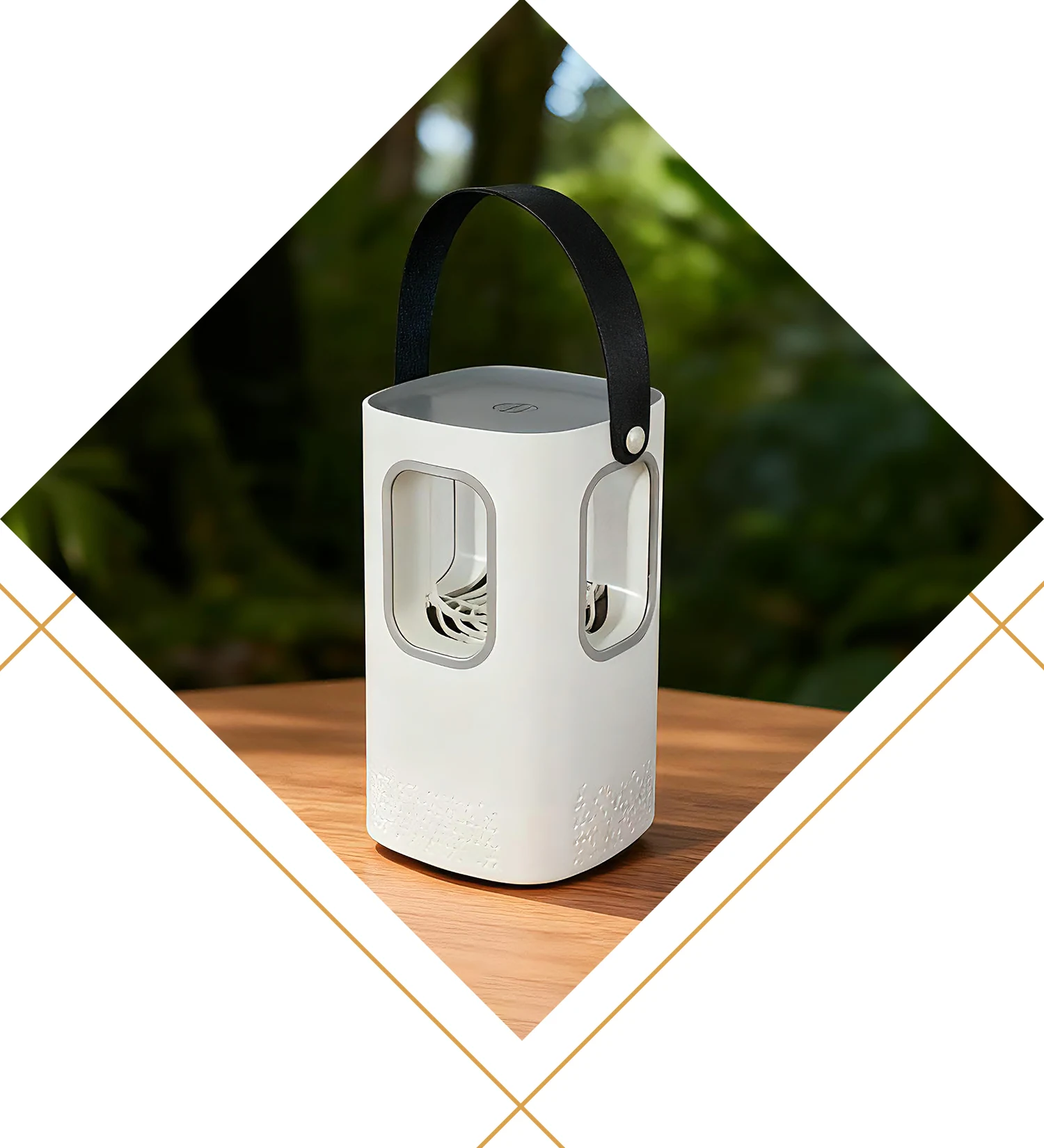 ခြင်ကောင်လူသတ်သမား